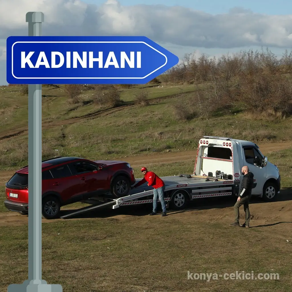 Kadınhanı Çekici